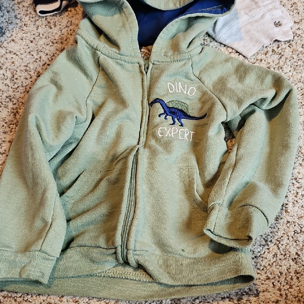 Green Dino Expert Toddler Hoodie